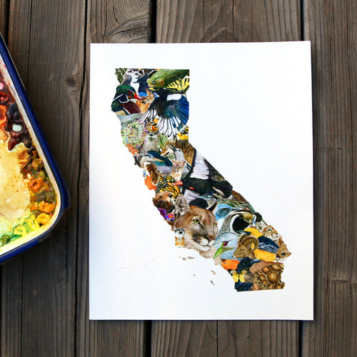 Load image 1 in gallery view. California Wildlife 8x10 Poster - California Biodiversity Art