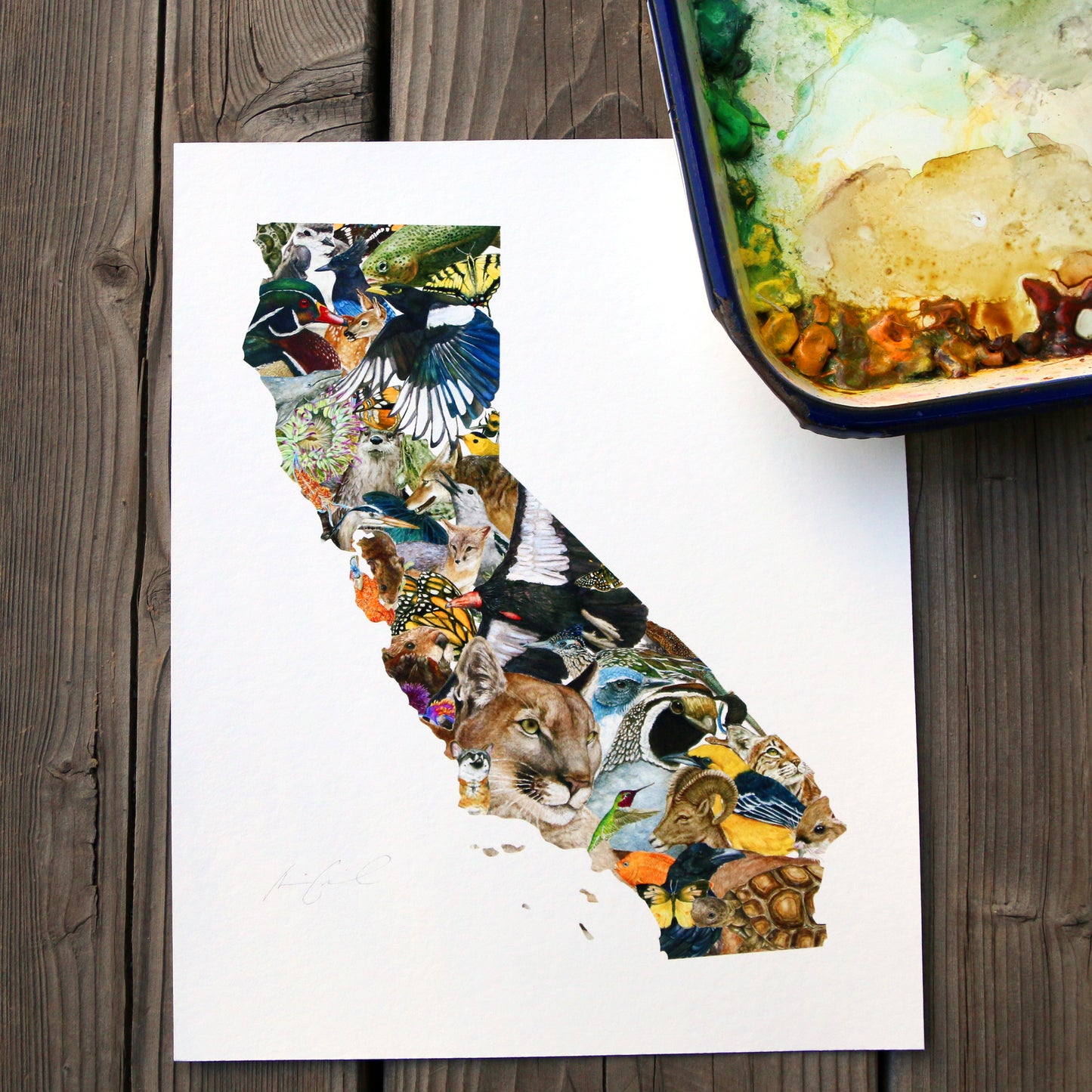 California Wildlife 8x10 Poster - California Biodiversity Art