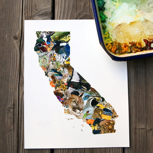 Load image 1 in gallery view. California Wildlife 8x10 Poster - California Biodiversity Art