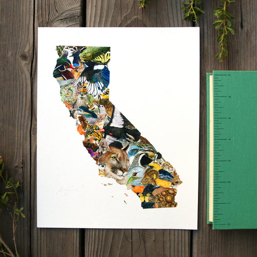 Load image 1 in gallery view. California Wildlife 8x10 Poster - California Biodiversity Art