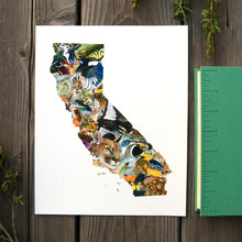 California Wildlife 8x10 Poster - California Biodiversity Art