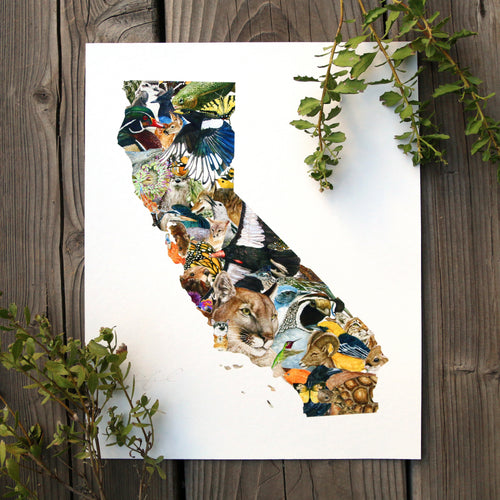 Load image 1 in gallery view. California Wildlife 8x10 Poster - California Biodiversity Art