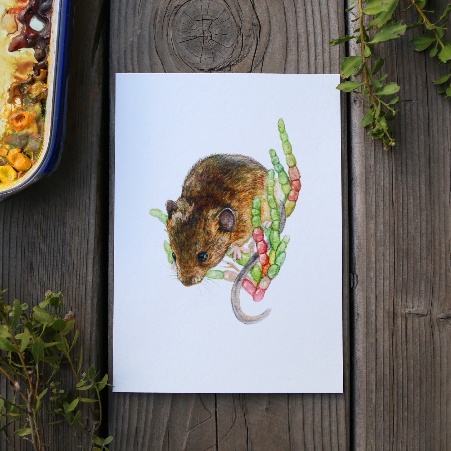 Salt Marsh Harvest Mouse 5x7 Print - Native California Wildlife, Mouse Print