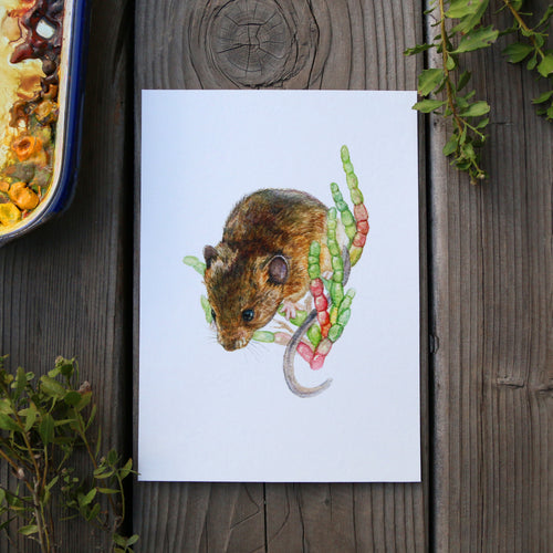 Load image 1 in gallery view. Salt Marsh Harvest Mouse 5x7 Print - Native California Wildlife, Mouse Print