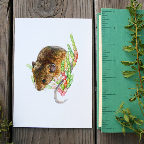 Load image 1 in gallery view. Salt Marsh Harvest Mouse 5x7 Print - Native California Wildlife, Mouse Print