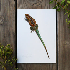 Side-Blotched Lizard 5x7 Print - Lizard, reptile art print