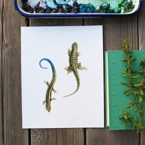 Load image 1 in gallery view. Fence Lizard and Skink 8x10 Print - Native California Wildlife, reptile watercolor print