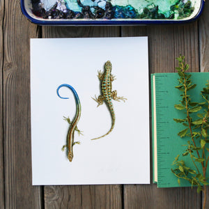 Fence Lizard and Skink 8x10 Print - Native California Wildlife, reptile watercolor print