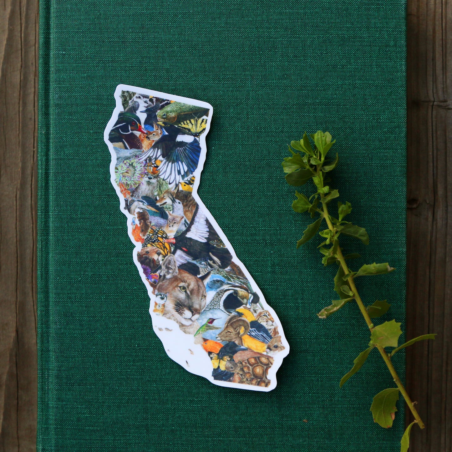 California Wildlife Vinyl Sticker