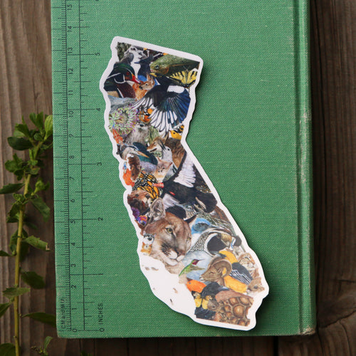 Load image 1 in gallery view. California Wildlife Vinyl Sticker