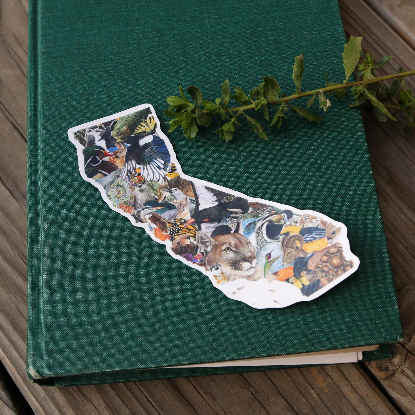 California Wildlife Vinyl Sticker