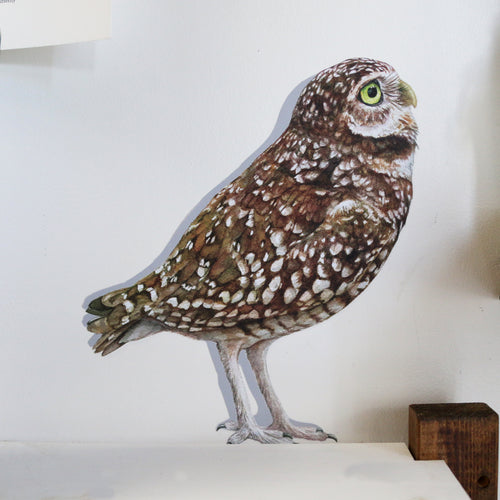 Load image 1 in gallery view. Burrowing Owl Wall Decal