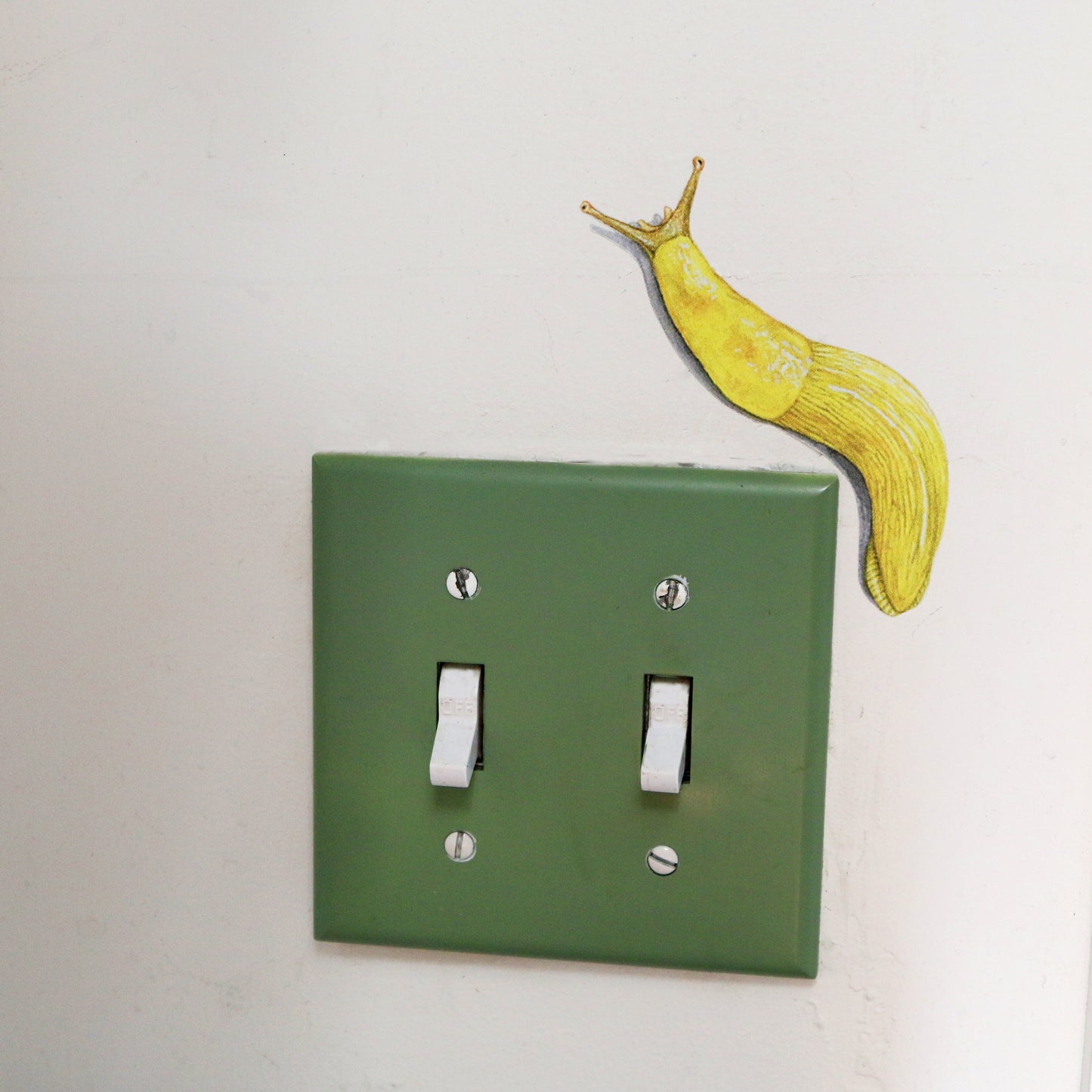 Realistic Banana Slug against white wall looking like it’s climbing around a light switch.
