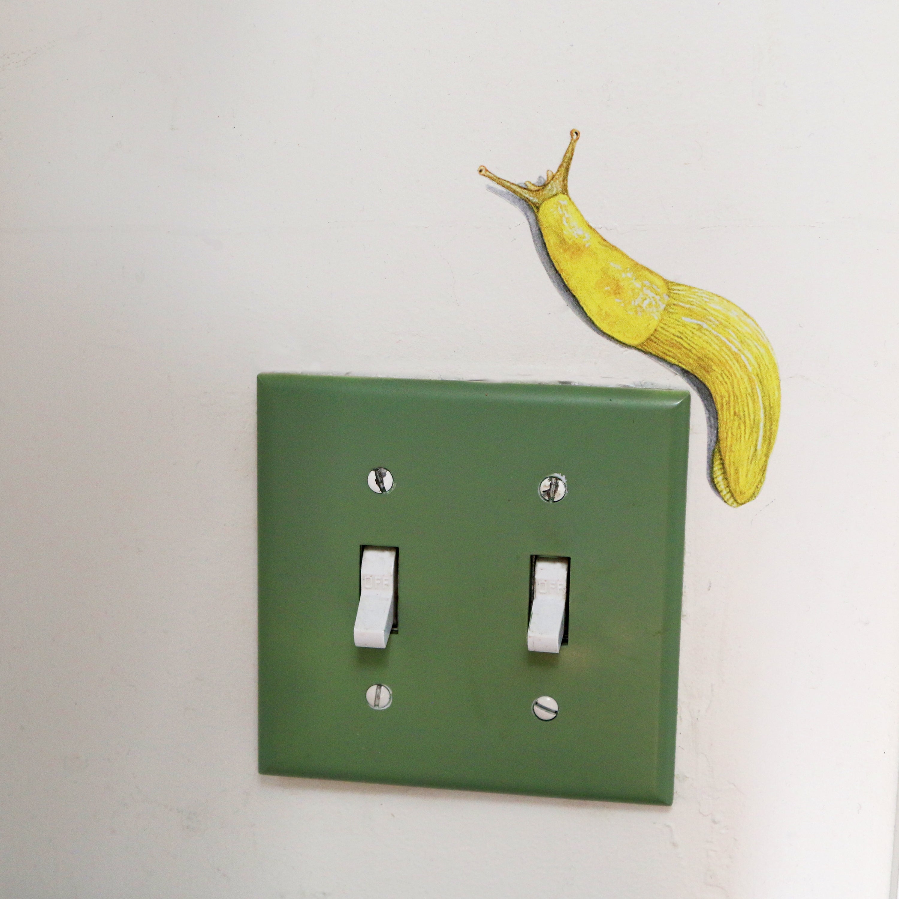 Realistic Banana Slug against white wall looking like it’s climbing around a light switch.