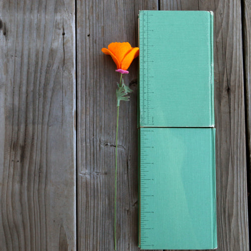 Load image 1 in gallery view. California Poppy Felt Flower - Eschscholzia californica - fiber sculpture, fabric flower