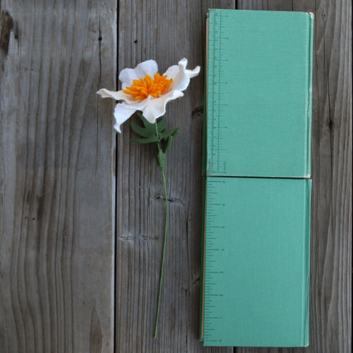 Load image 1 in gallery view. Matilija poppy - Romneya coulteri  - fiber sculpture, felt flower