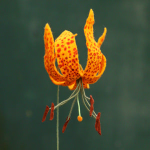 Humboldt's Lily Felt Flower - Lilium humboldtii - fiber sculpture, fabric flower