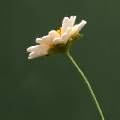 Load image 1 in gallery view. Tidy Tips Felt Flower - Layia platyglossa - fiber sculpture, fabric flower