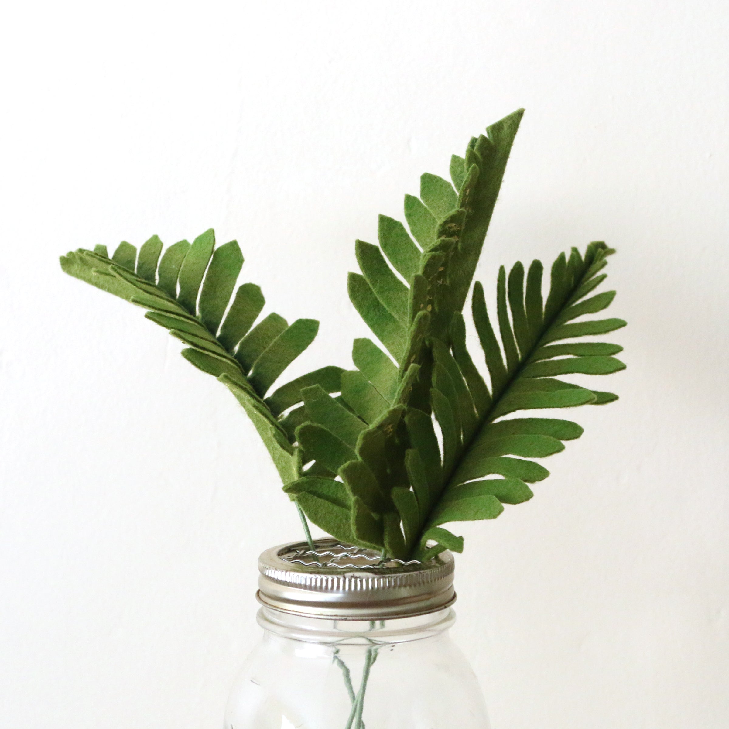 Licorice Fern - Polypodium glycyrrhiza - felt flora, fiber sculpture