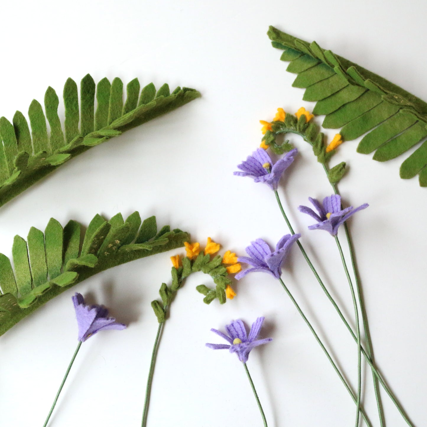 Licorice Fern - Polypodium glycyrrhiza - felt flora, fiber sculpture