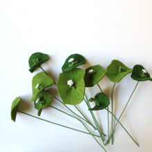 Rooreh (Indian Lettuce) Trio  - Claytonia perfoliata - felt flora, fiber sculpture, fabric flower