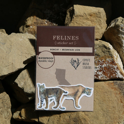Load image 1 in gallery view. Felines of California Vinyl Stickers: Bobcat, Cougar, Mountain Lion