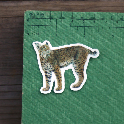 Load image 1 in gallery view. Felines of California Vinyl Stickers: Bobcat, Cougar, Mountain Lion