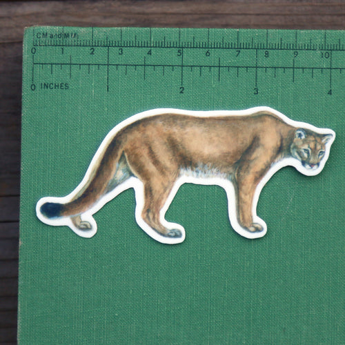 Load image 1 in gallery view. Felines of California Vinyl Stickers: Bobcat, Cougar, Mountain Lion