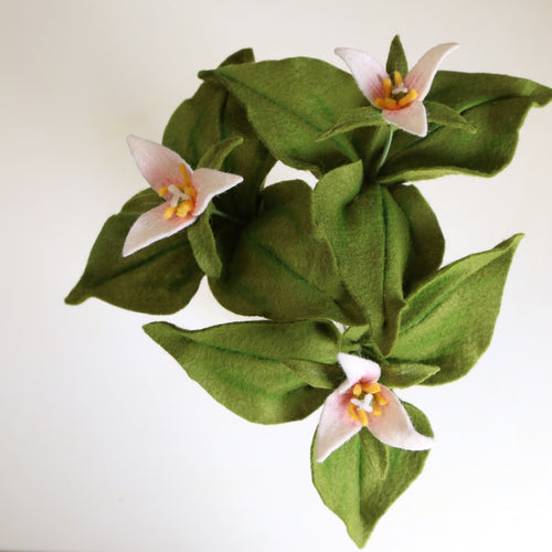 Load image 1 in gallery view. Pacific trillium - Trillium ovatum - fiber sculpture, felt flower