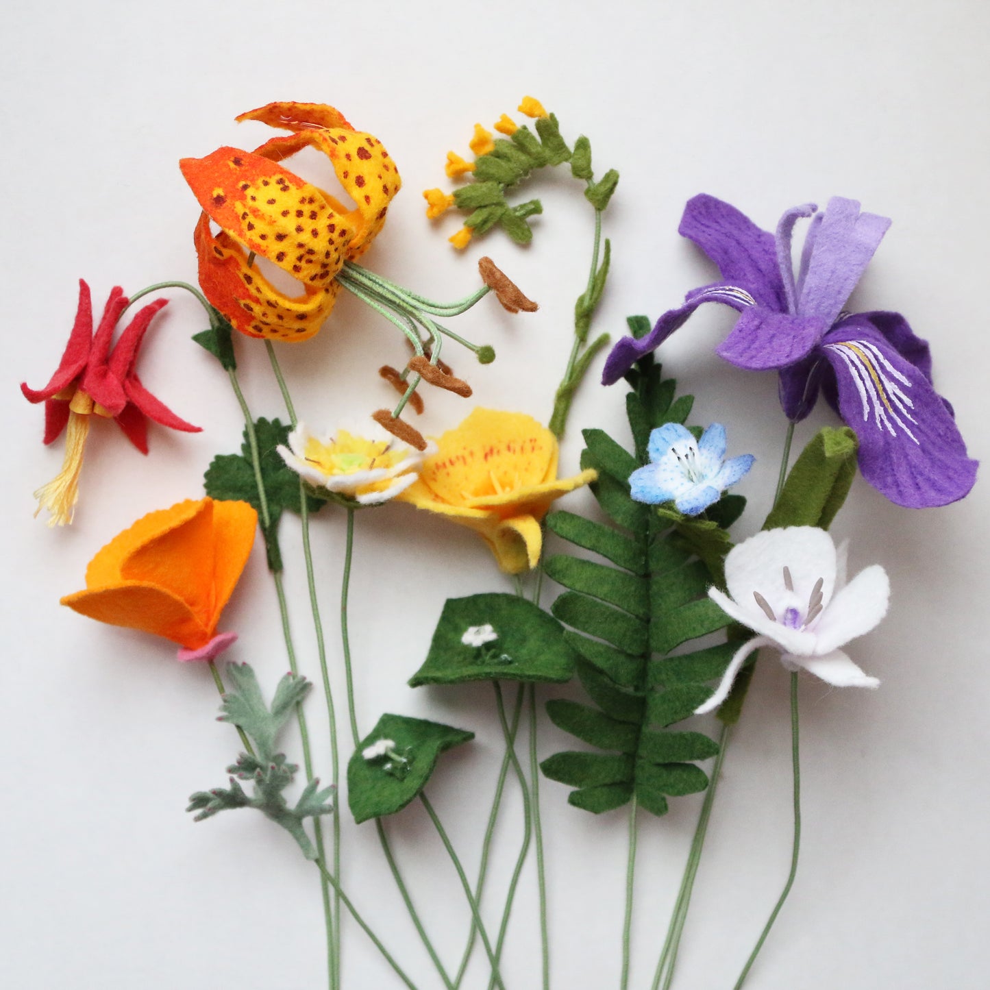 Licorice Fern - Polypodium glycyrrhiza - felt flora, fiber sculpture