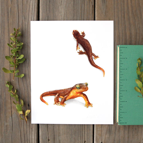 Load image 1 in gallery view. California Newts 8x10 Print - Native California Wildlife, Salamander watercolor print