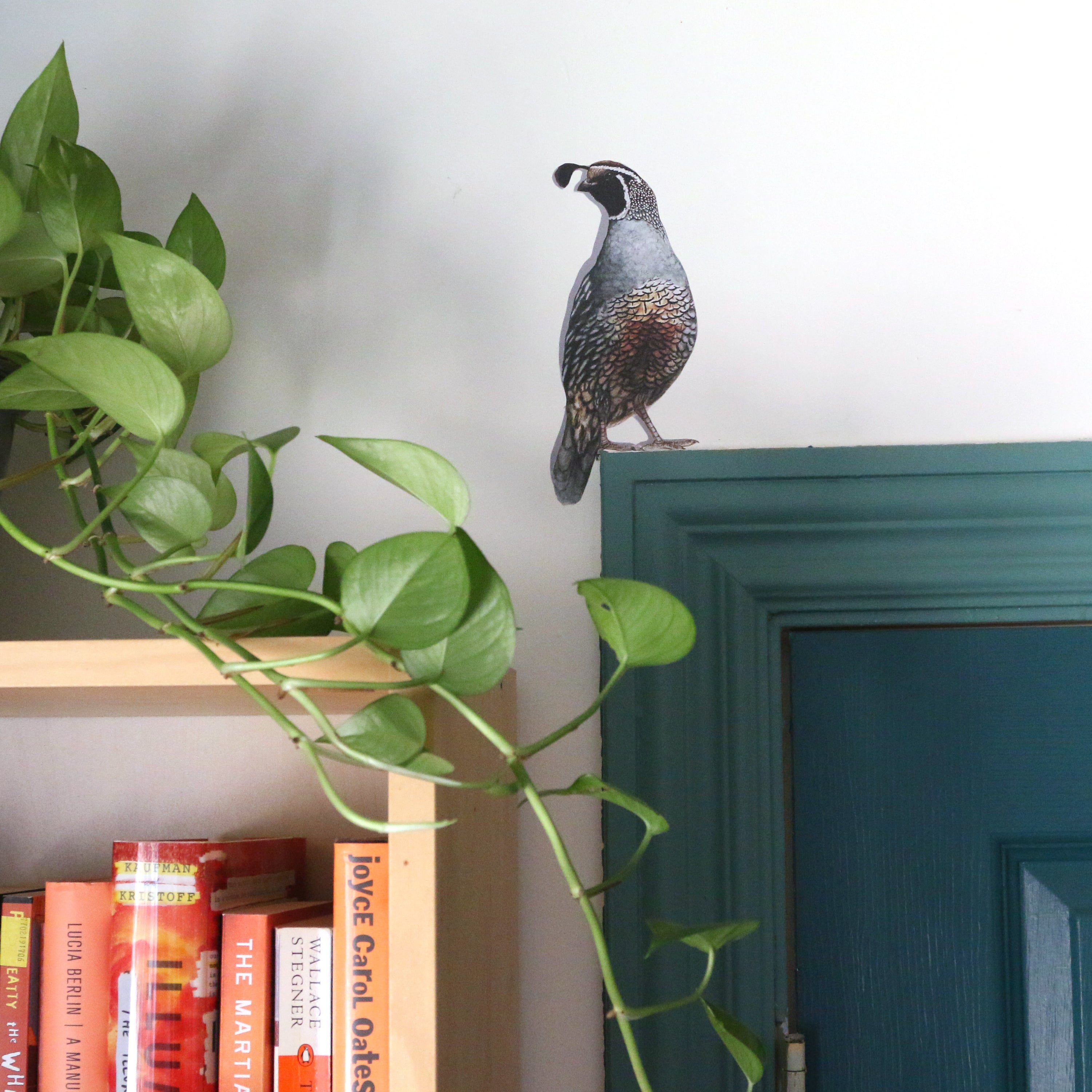 Realistic male quail standing above a door frame.