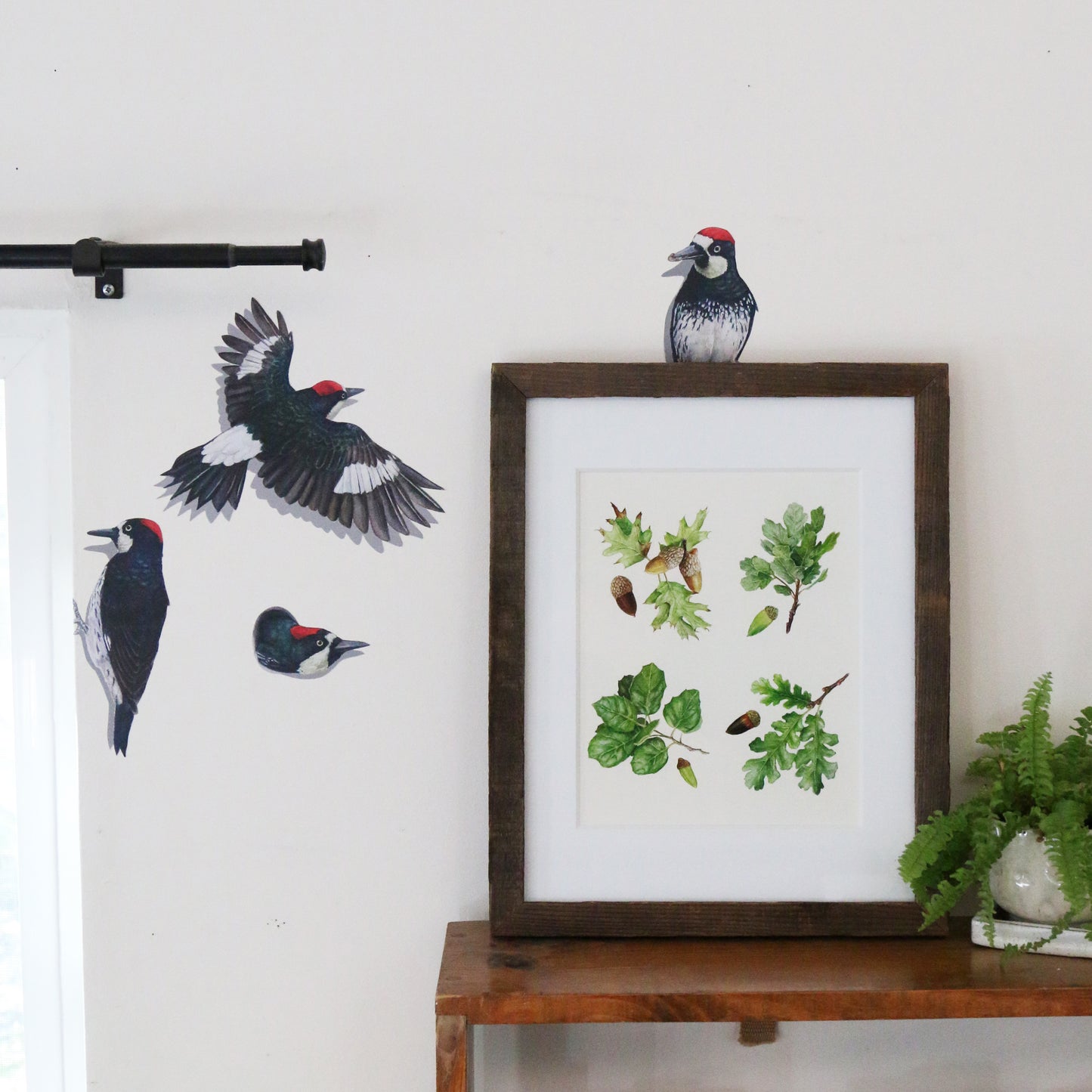 Realistic group of four acorn woodpeckers in various poses against a white wall.