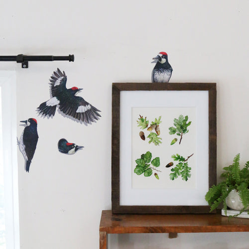Load image 1 in gallery view. Realistic group of four acorn woodpeckers in various poses against a white wall.