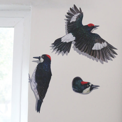 Load image 1 in gallery view. Close up of side view woodpecker, flying woodpecker, and woodpecker in hole