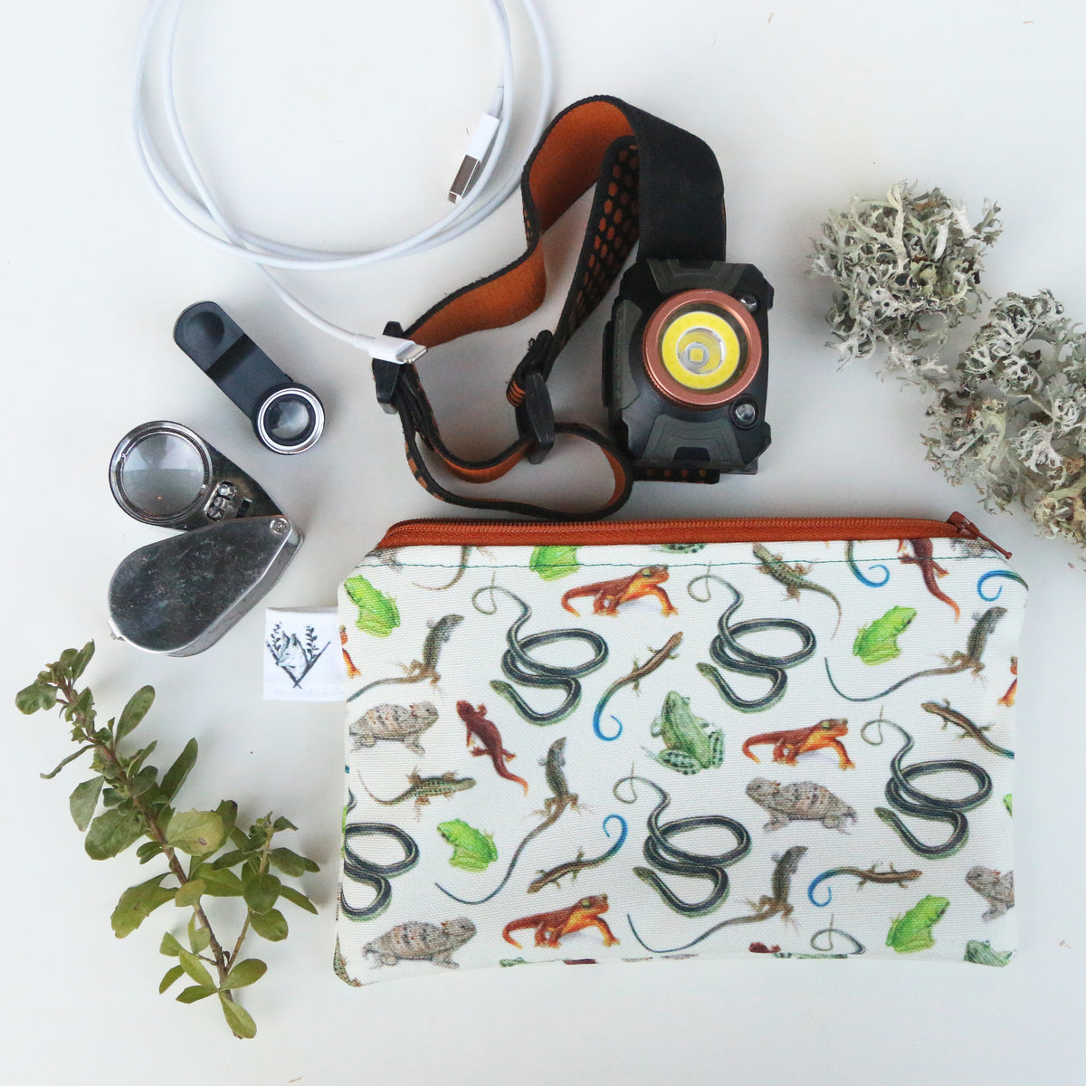 Medium California Reptiles and Amphibians Zipper Pouch - Travel Organizer Bag, Flat Purse