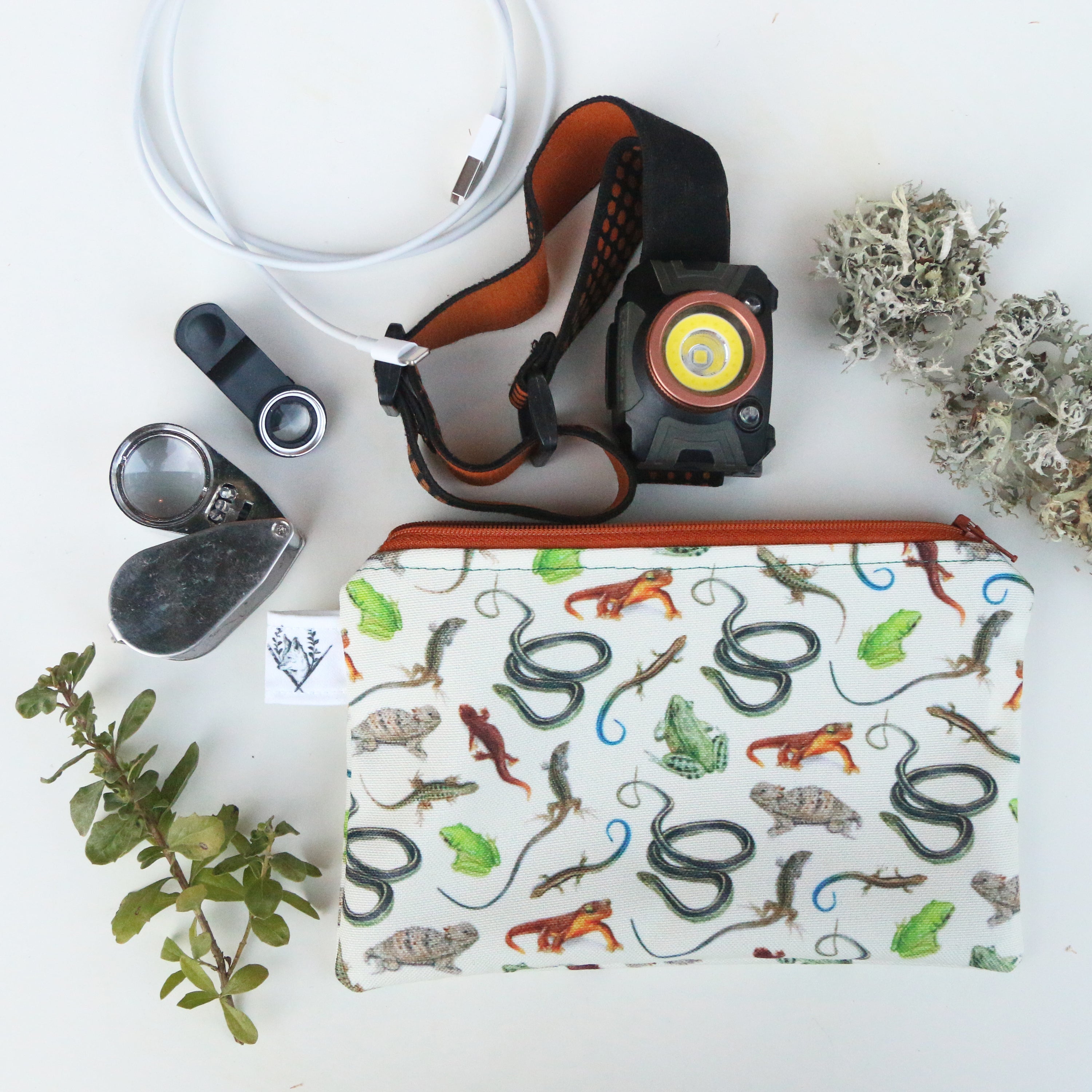 Medium California Reptiles and Amphibians Zipper Pouch - Travel Organizer Bag, Flat Purse
