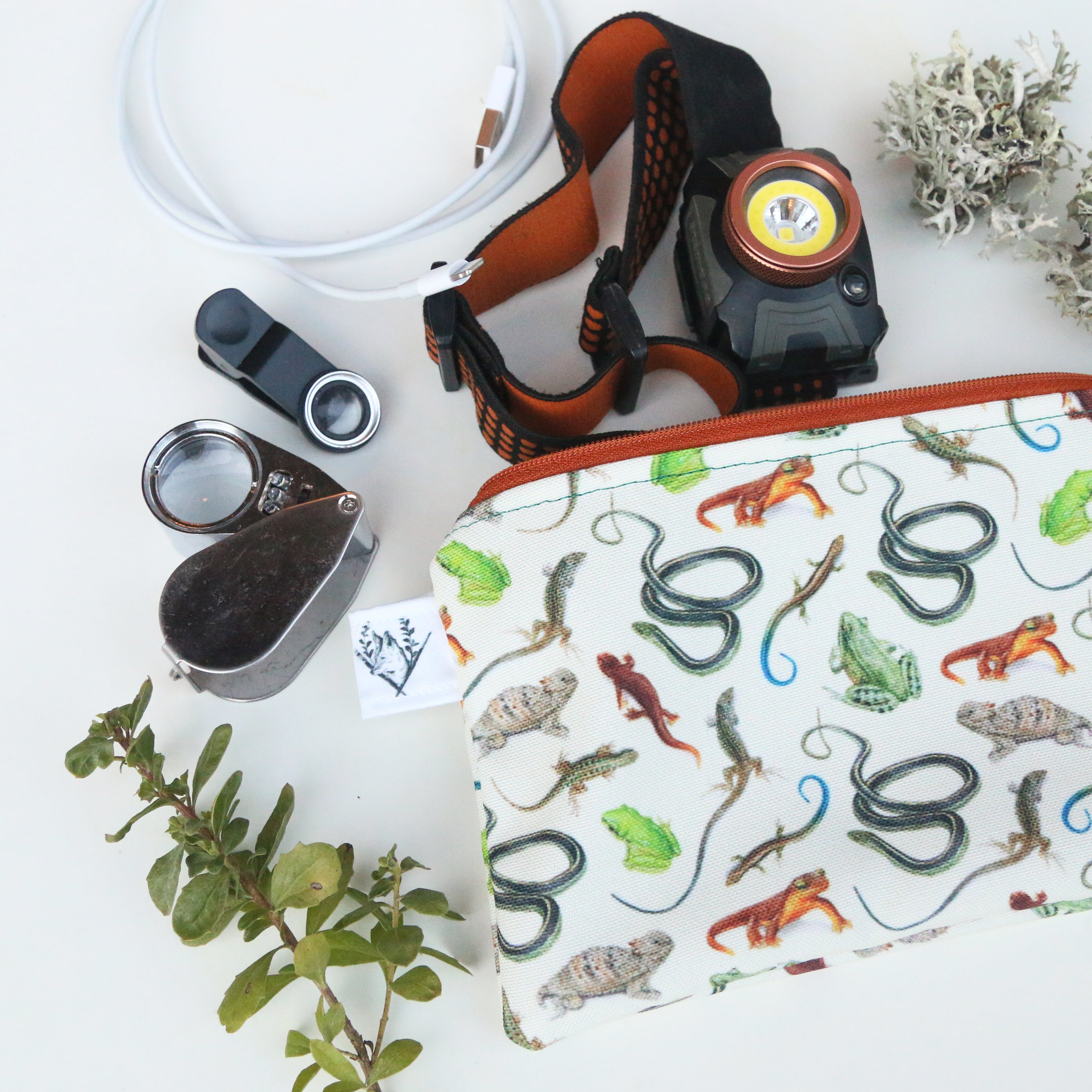 Medium California Reptiles and Amphibians Zipper Pouch - Travel Organizer Bag, Flat Purse