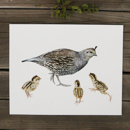 Load image 1 in gallery view. Quail Family 8x10 Print - Native California Wildlife, Bird Print