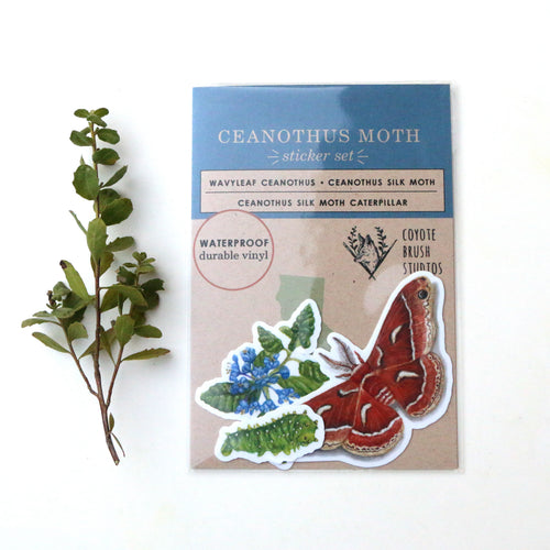 Load image 1 in gallery view. Ceanothus Silk Moth Vinyl Stickers: Silk Moth, Caterpillar, Wavy-leaf Ceanothus