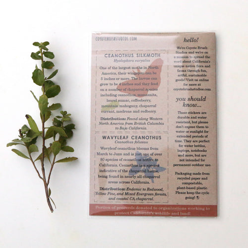 Load image 1 in gallery view. Ceanothus Silk Moth Vinyl Stickers: Silk Moth, Caterpillar, Wavy-leaf Ceanothus