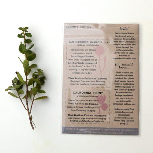 Load image 1 in gallery view. Chaparral Wildflowers Vinyl Stickers: Late Blooming Mariposa Lily, Sticky Monkeyflower, CA Peony, Woolly Blue Curls