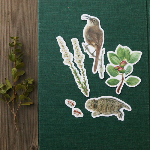 Load image 1 in gallery view. Chaparral Sticker Set Vinyl Stickers: Horned Lizard, CA Thrasher, Chamise, Red Harvester Ant, Big Berry Manzanita