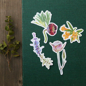 Chaparral Wildflowers, Four Vinyl Stickers: Late Blooming Mariposa Lily, Sticky Monkeyflower, California Peony, Woolly Blue Curls