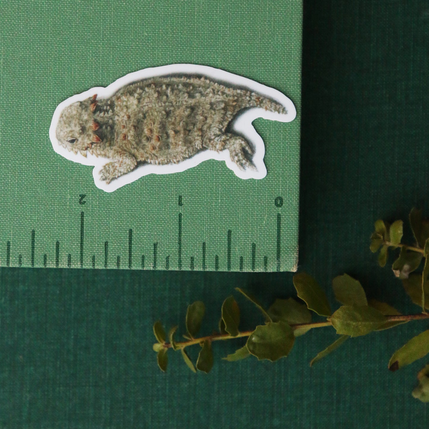 Chaparral Sticker Set Vinyl Stickers: Horned Lizard, CA Thrasher, Chamise, Red Harvester Ant, Big Berry Manzanita