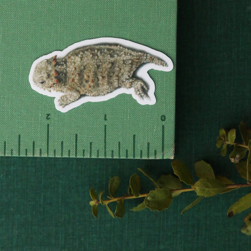 Load image 1 in gallery view. Chaparral Sticker Set Vinyl Stickers: Horned Lizard, CA Thrasher, Chamise, Red Harvester Ant, Big Berry Manzanita