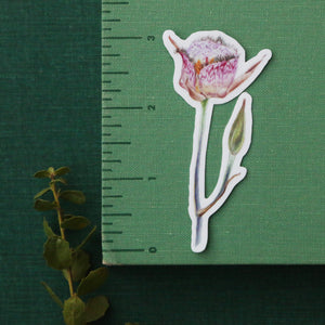 Chaparral Wildflowers, Four Vinyl Stickers: Late Blooming Mariposa Lily, Sticky Monkeyflower, California Peony, Woolly Blue Curls