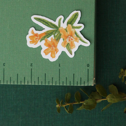 Load image 1 in gallery view. Chaparral Wildflowers Vinyl Stickers: Late Blooming Mariposa Lily, Sticky Monkeyflower, CA Peony, Woolly Blue Curls