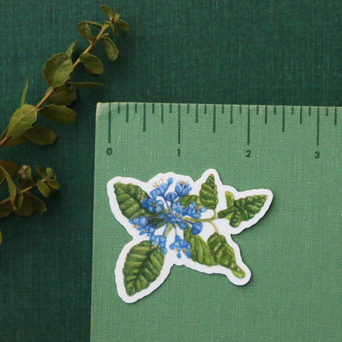 Load image 1 in gallery view. Ceanothus Silk Moth Vinyl Stickers: Silk Moth, Caterpillar, Wavy-leaf Ceanothus