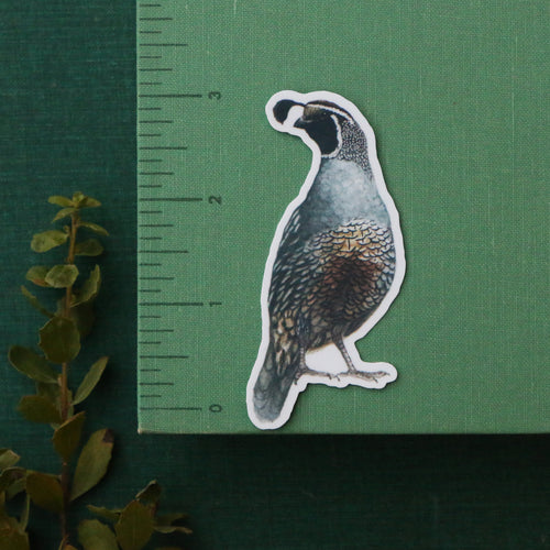 Load image 1 in gallery view. Quail Covey Vinyl Stickers: Male and Female Quail, 2 chicks, egg